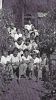 Victorina (nee Andrade) Pereira, Manuel Gomes Anjo, Virginia (nee Pereira) Anjo, Margaret Pereira, Elsie (nee Martin) Rodrigues, Evelyn Rodrigues, David Rodrigues, Lucy Rodrigues, Anna Pereira and Lawrence Rodrigues. Others unidentified.